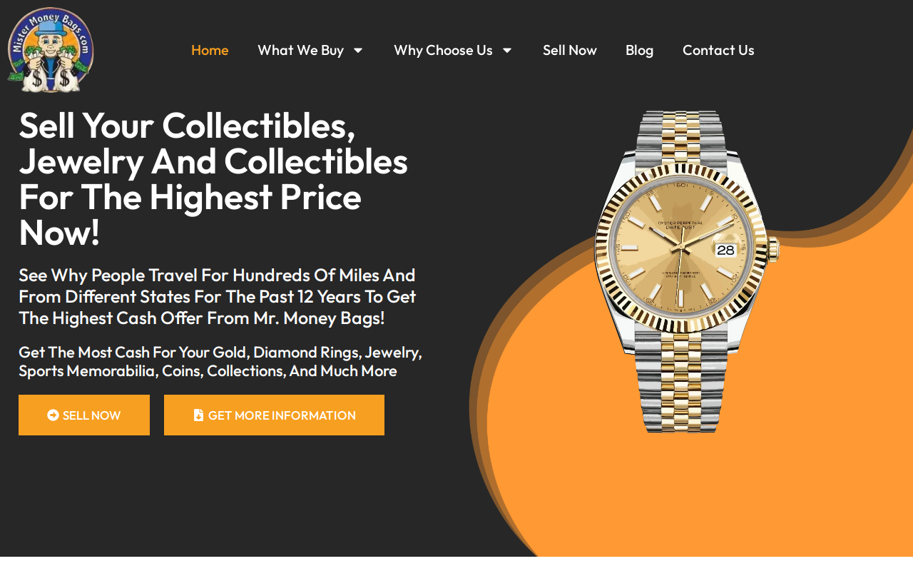 Mister Money Bags website preview