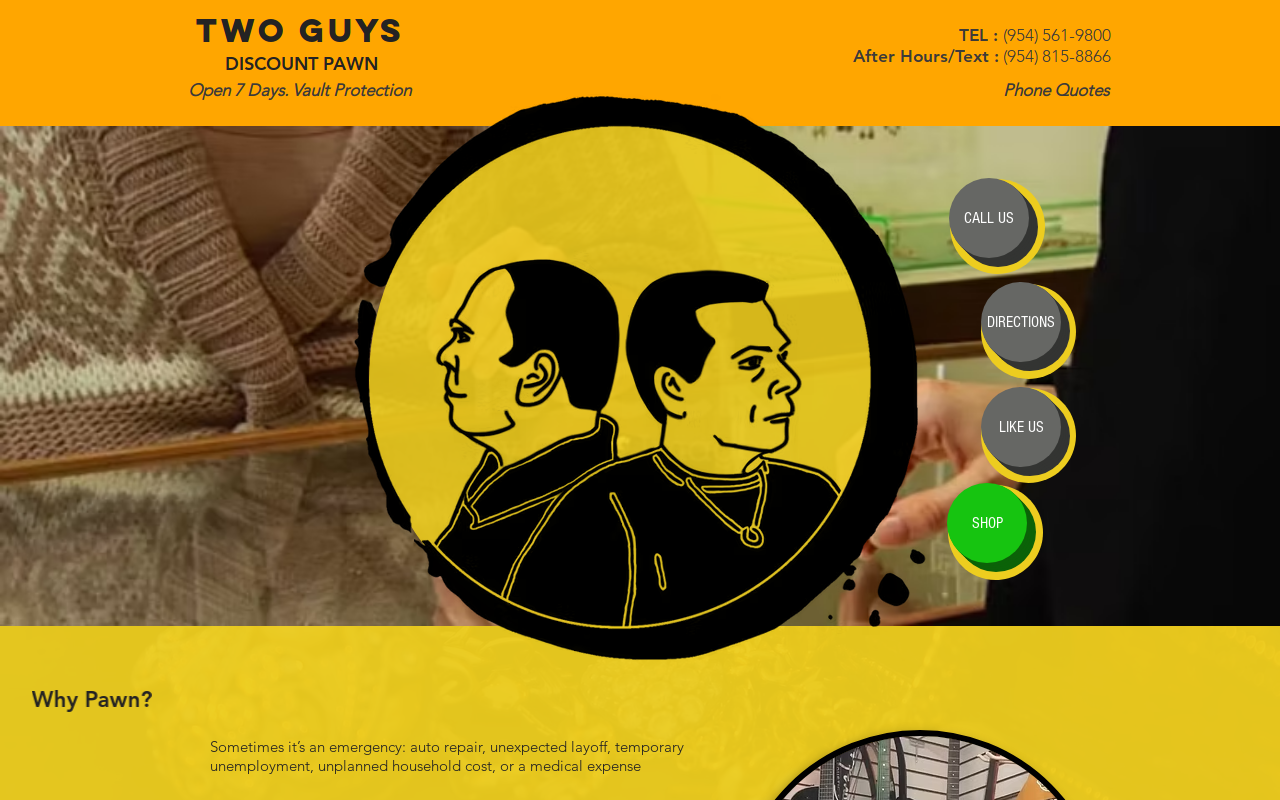 Two Guys Discount Pawn website preview