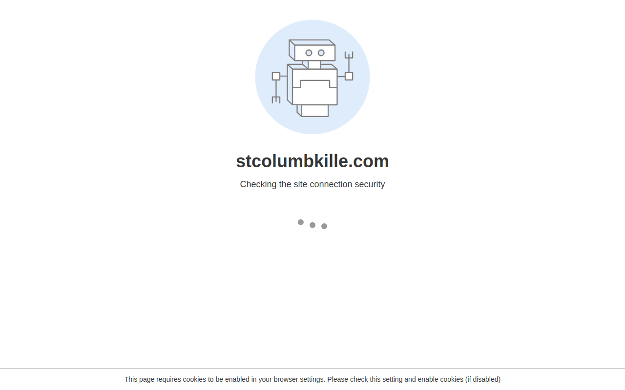 St Columbkille Thrift Store website preview