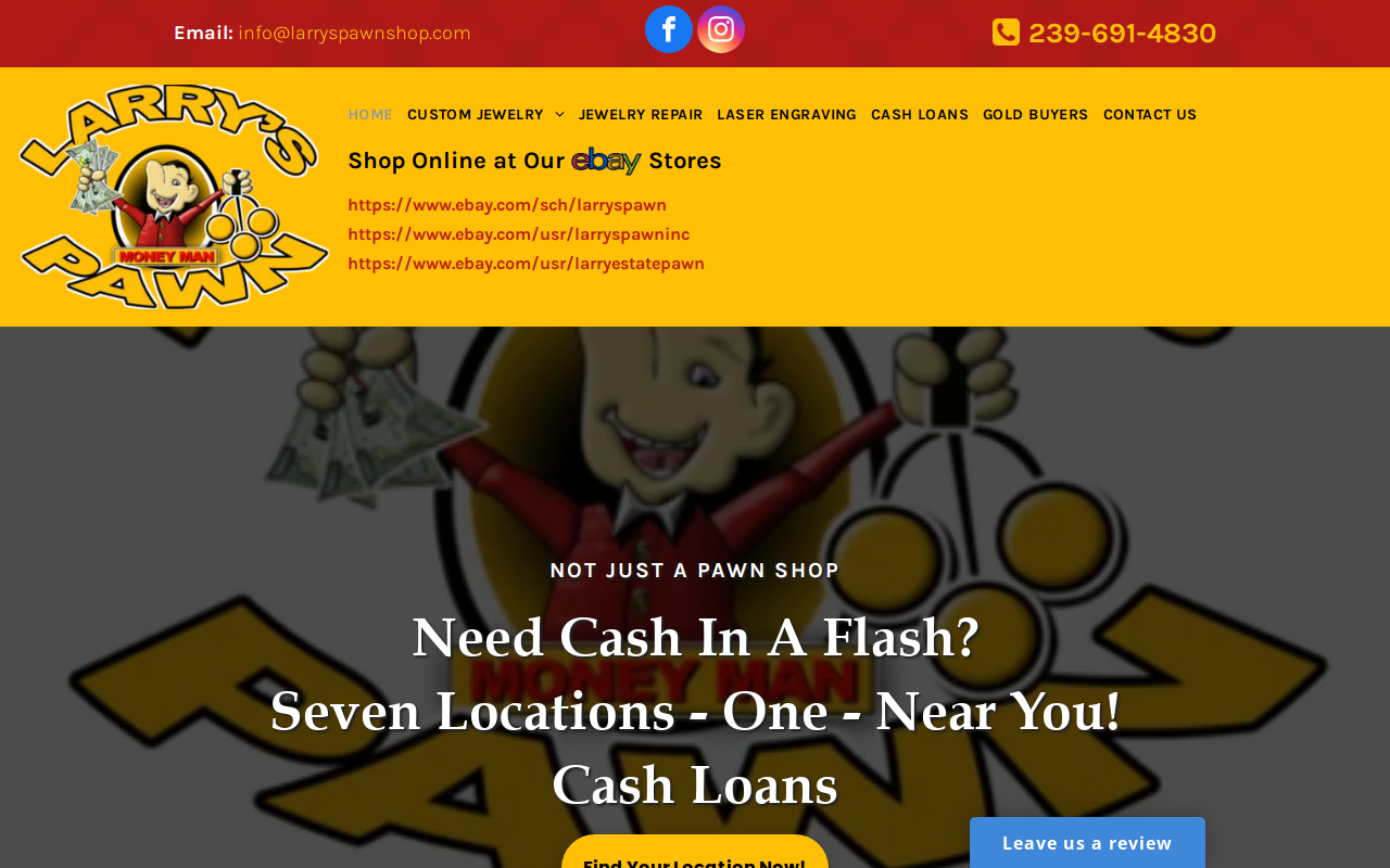 Larry's Pawn Inc. website preview