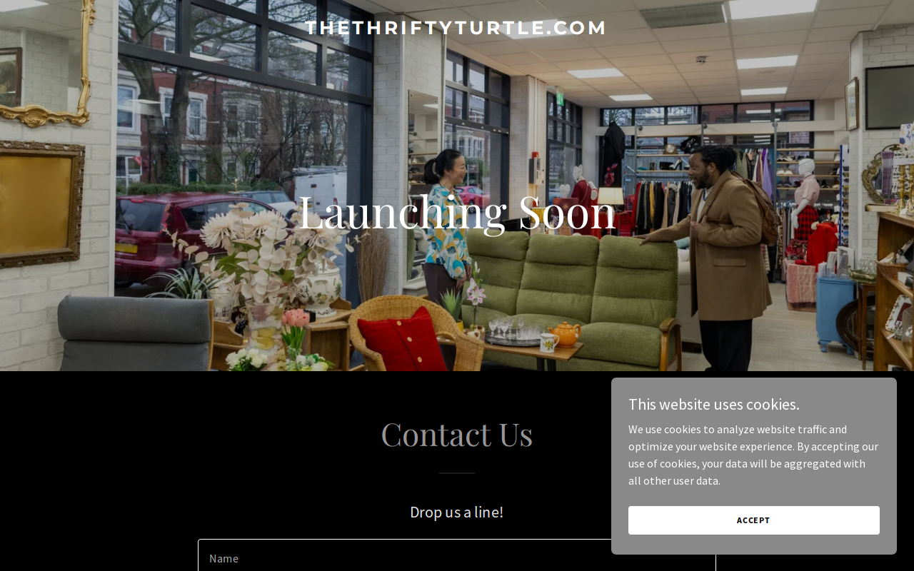 The Thrifty Turtle website preview