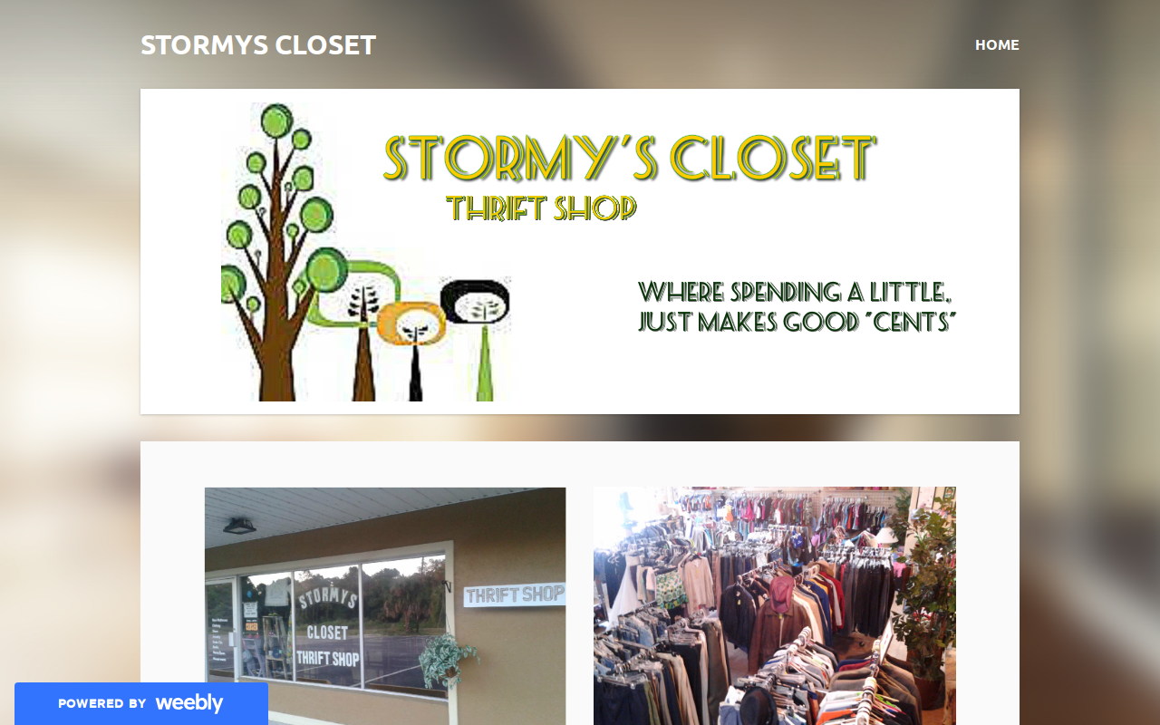 Stormy's Closet website preview