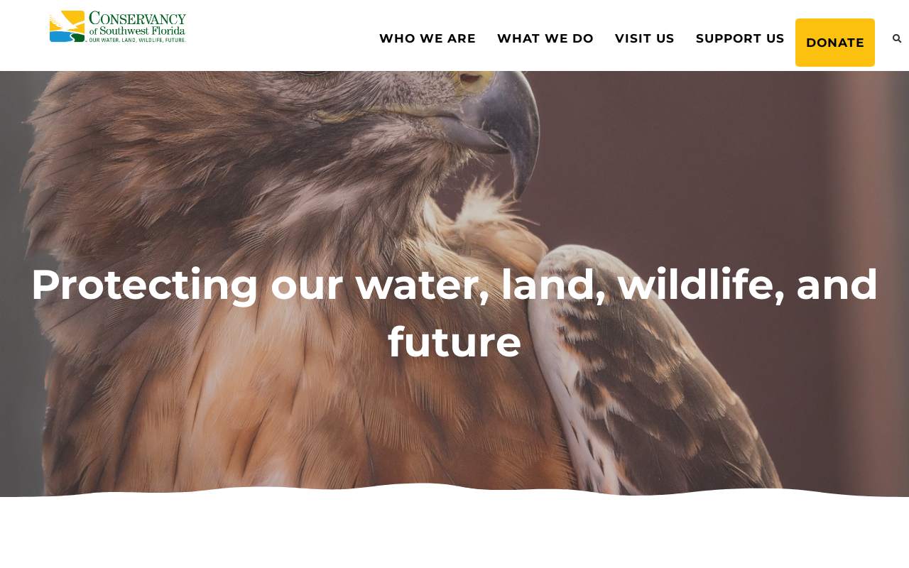 Conservancy Of SW FL Upscale website preview