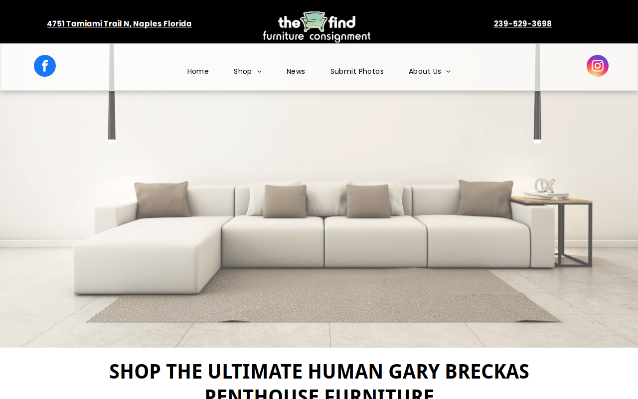 The Find Consignment website preview