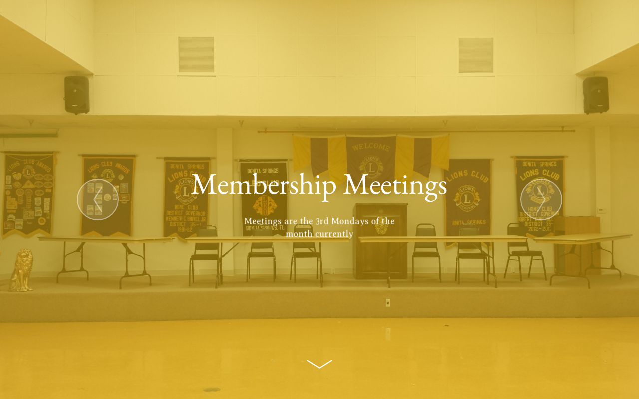 Bonita Springs Lions Club Thrift Store website preview