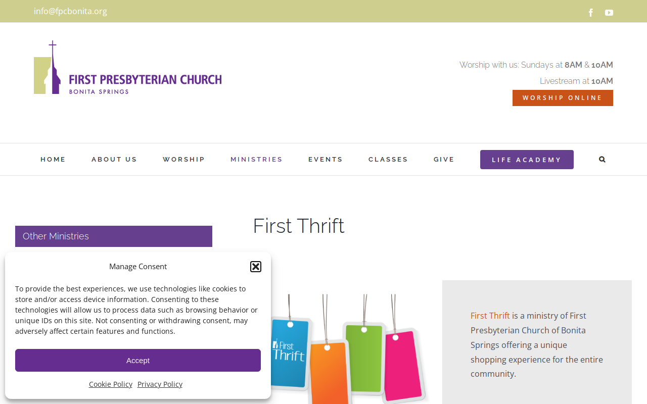First Thrift Shop website preview