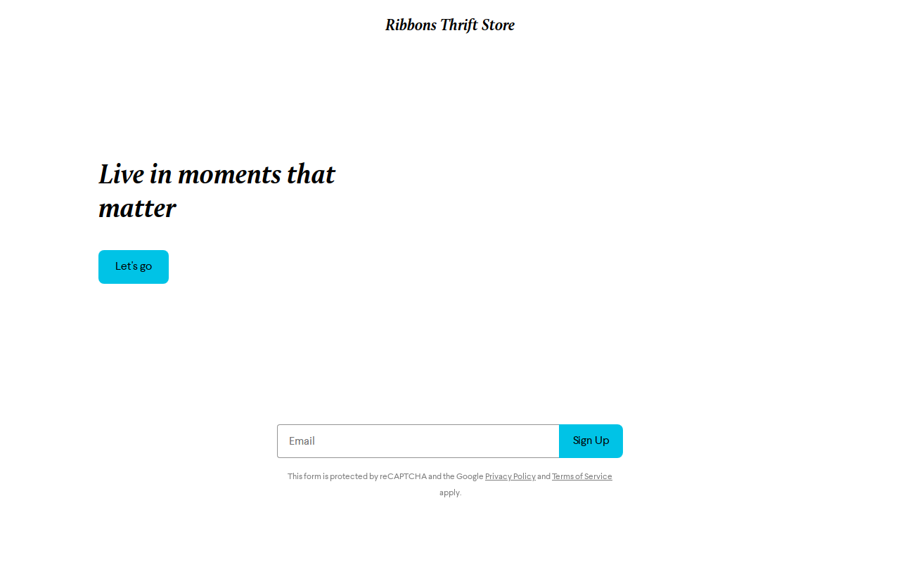 Ribbons Thrift Store website preview