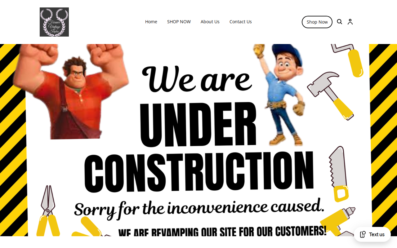 Forever Vintage And Surplus website preview
