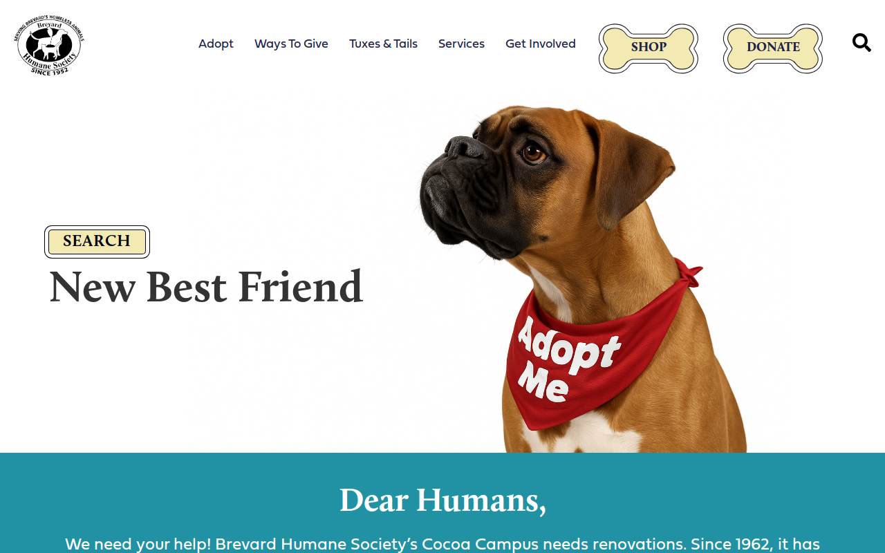 Molly Mutt II Thrift Shop website preview