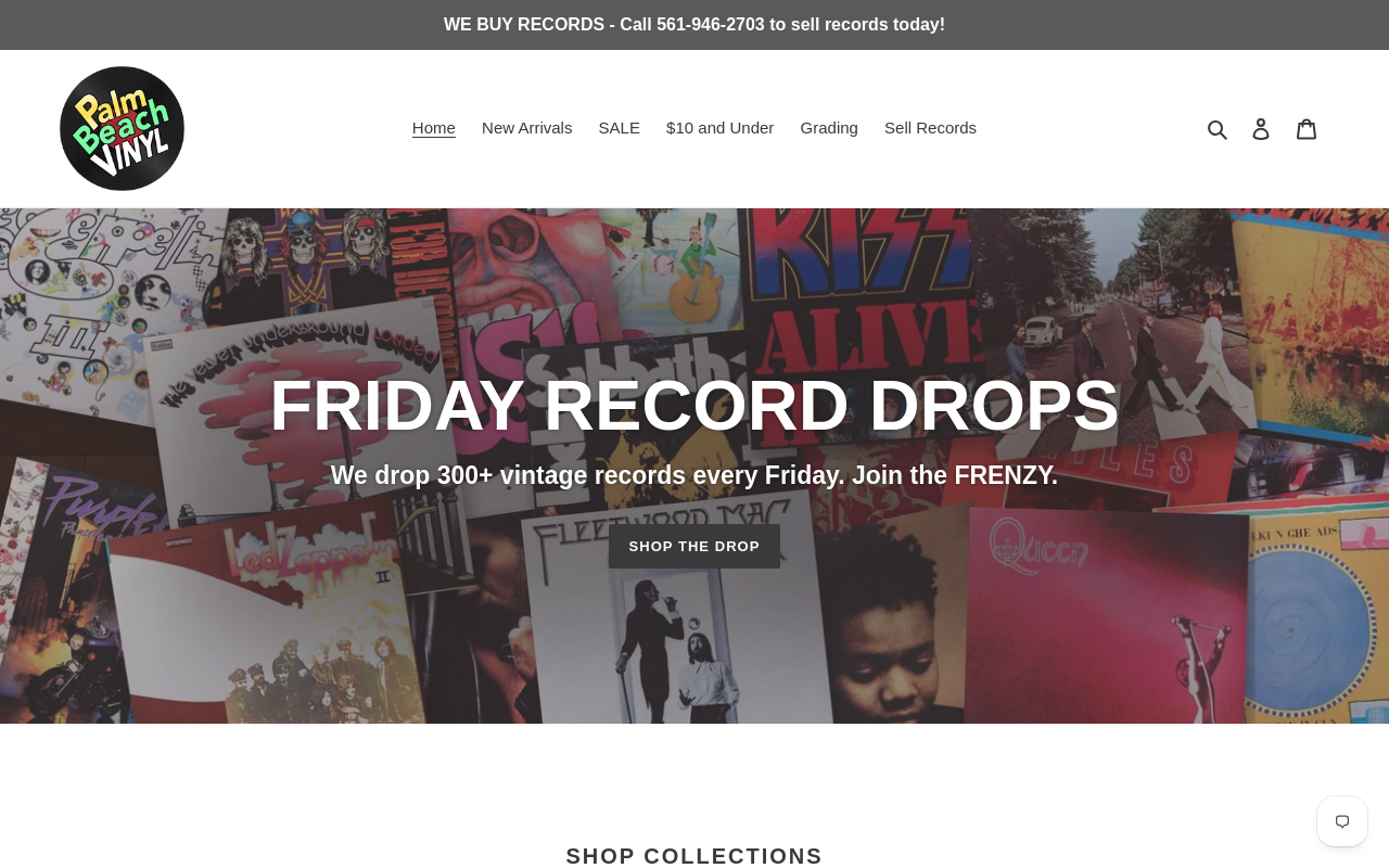 Palm Beach Vinyl website preview