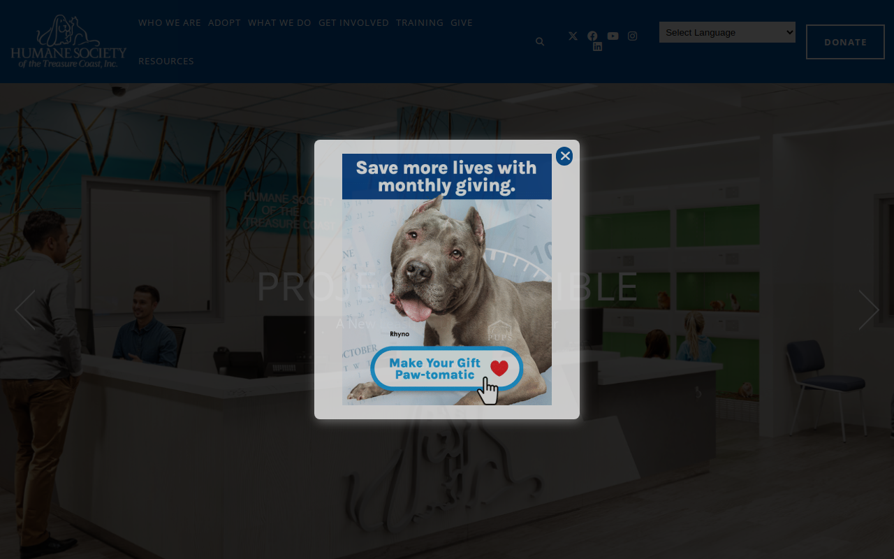 Humane Society-Treasure Coast website preview