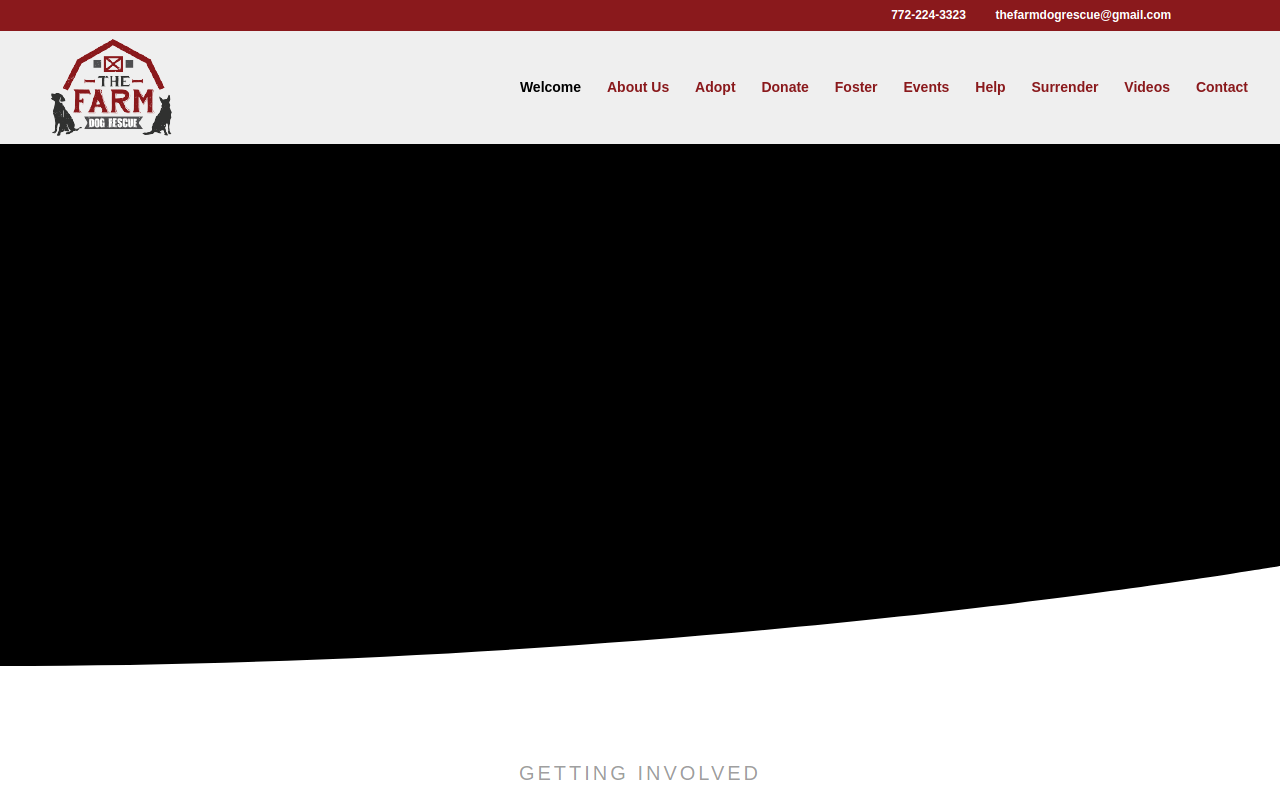 Funded Futures Family website preview