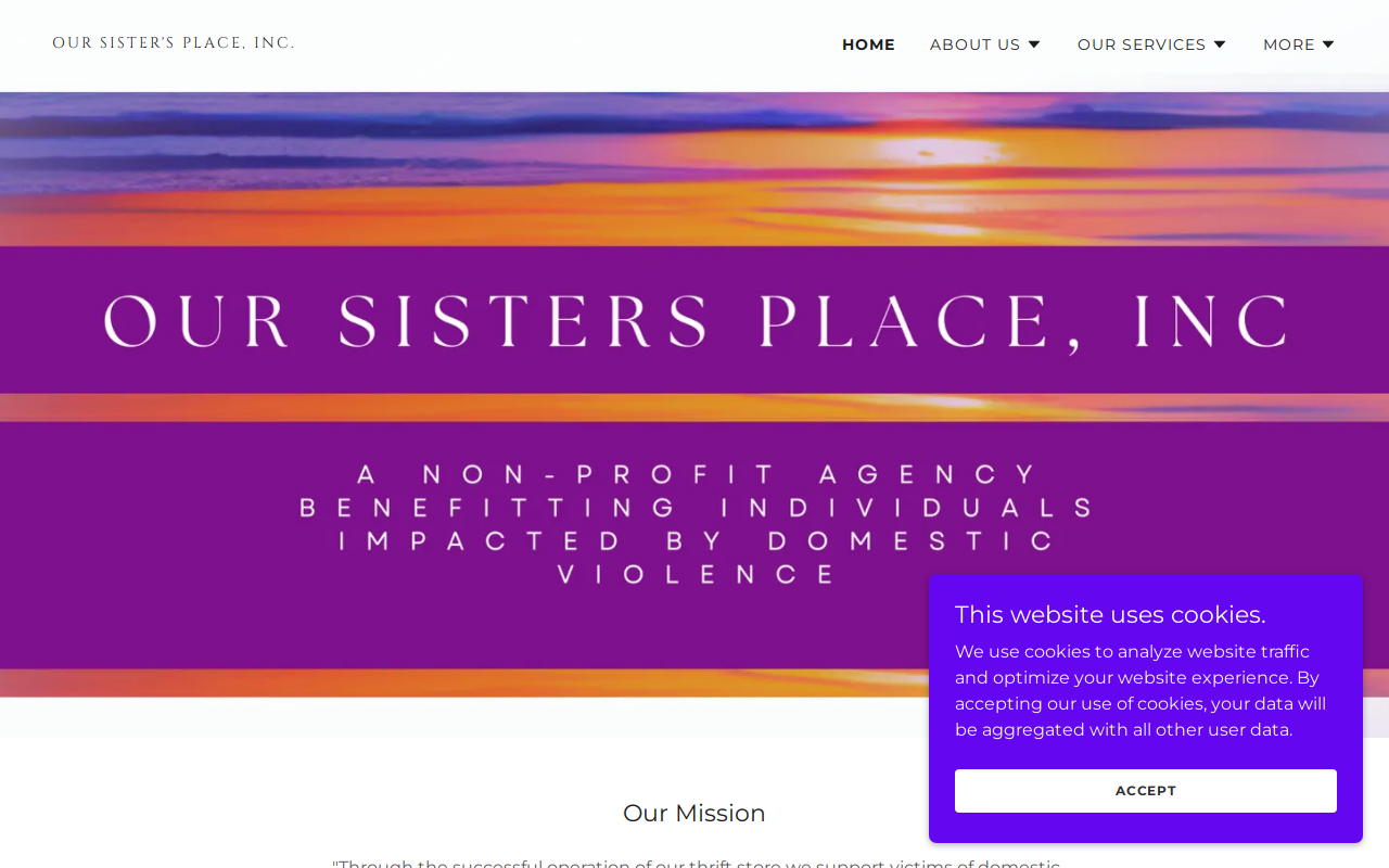 Our Sister's Place website preview
