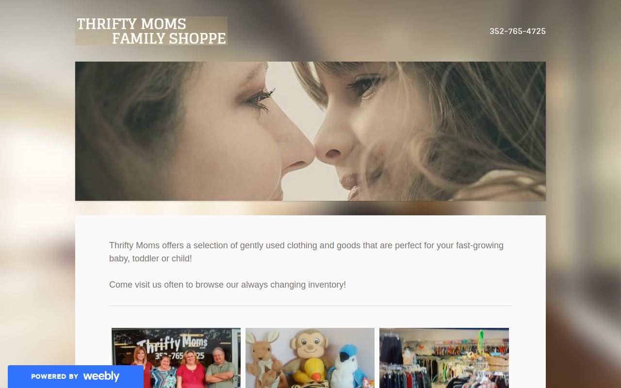 Thrifty Moms Attic website preview