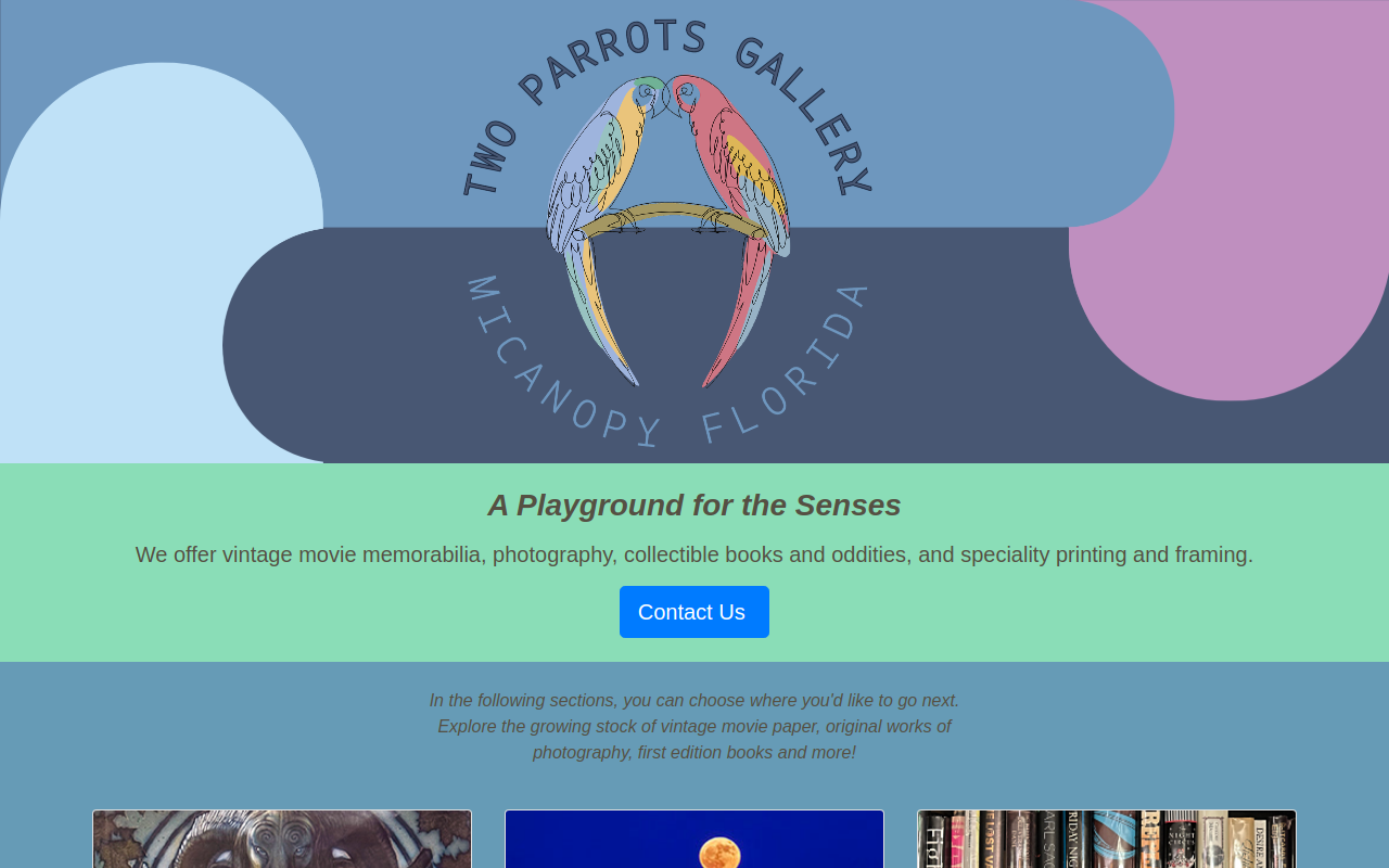 Two Parrots Gallery website preview