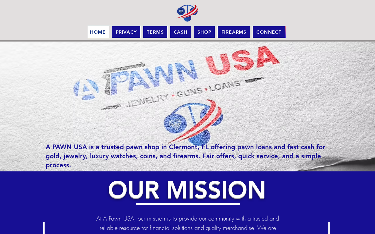 A Pawn USA website preview
