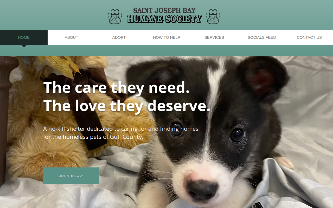 Faiths Thrift Hut website preview