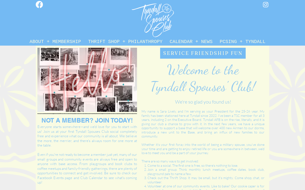 Tyndall Thrift Shop website preview