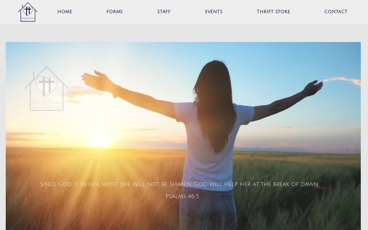 Humble House Thrift Store: Furniture & More website preview