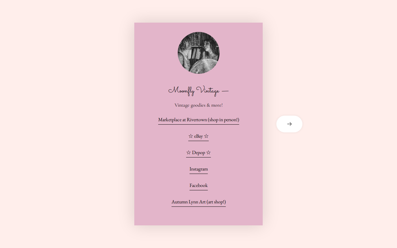 Moonfly Vintage website preview
