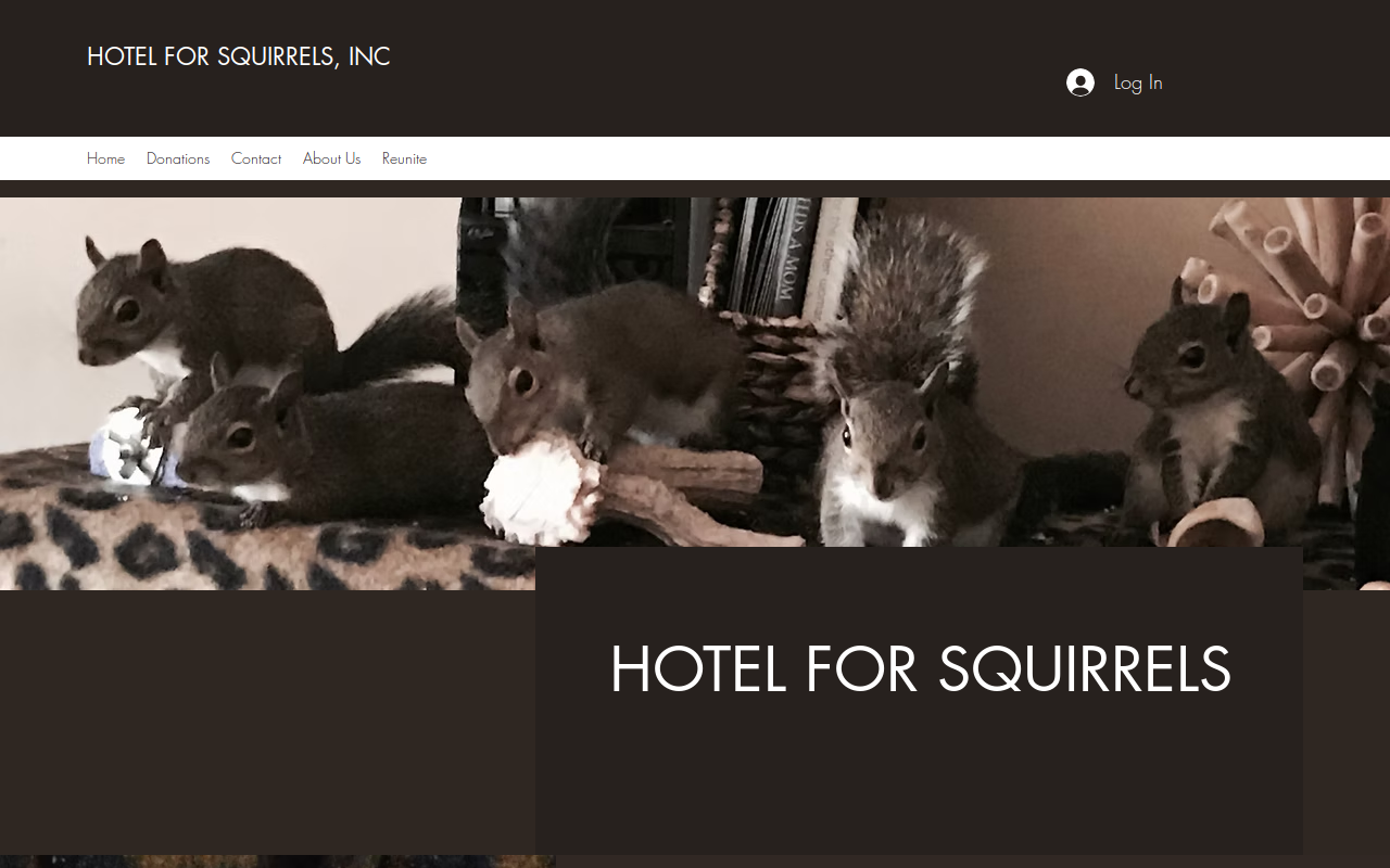 TAiLS website preview