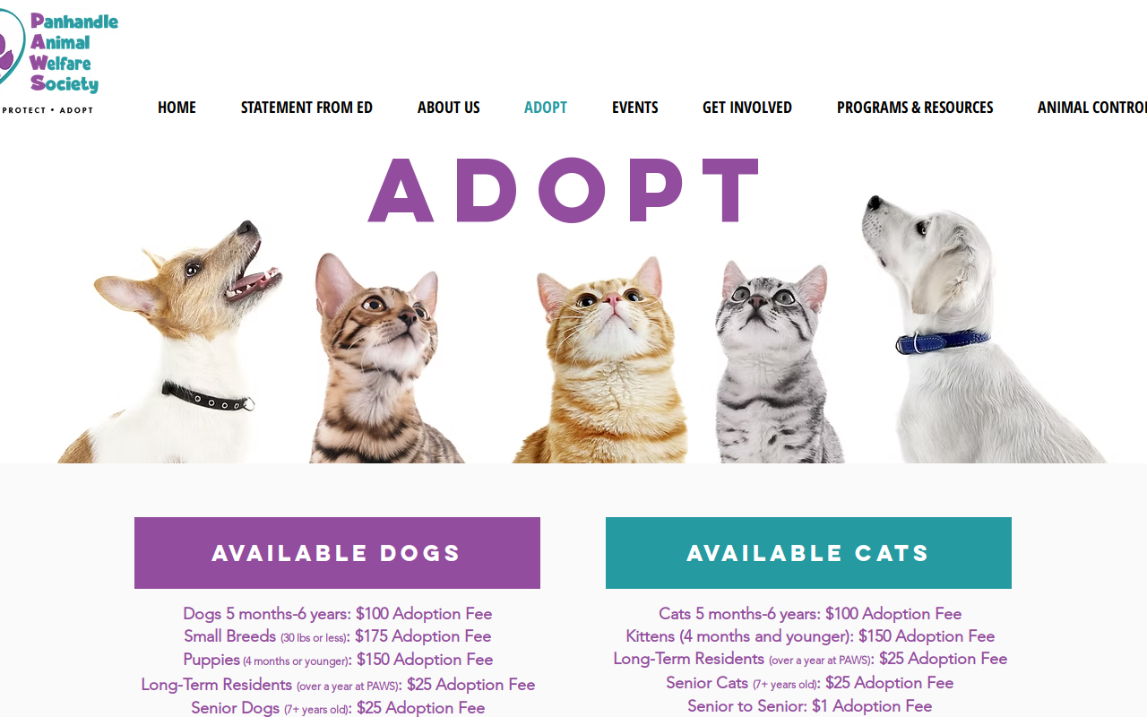 PAWS Thrift Shop website preview