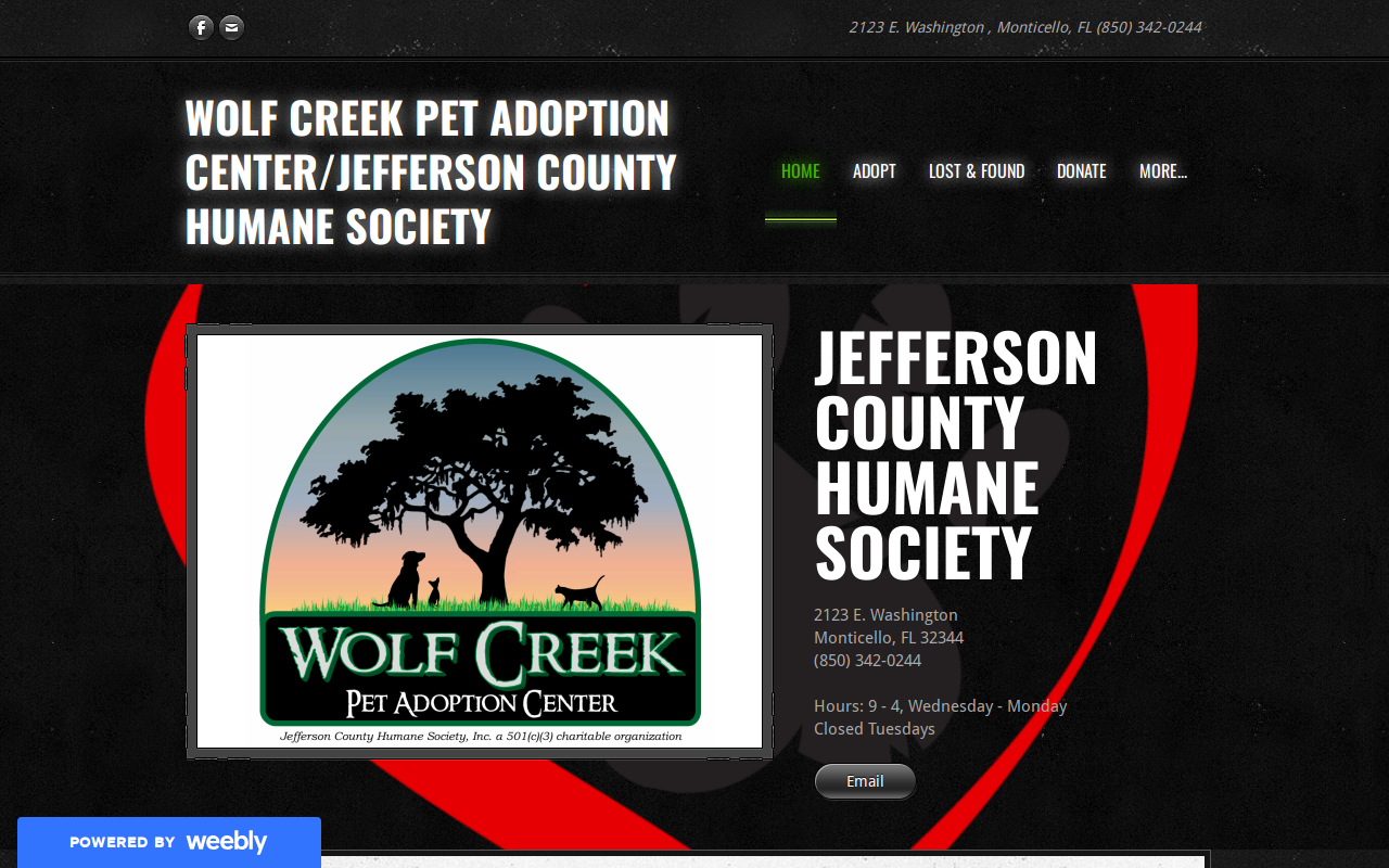 Wag the Dog Thrift Store website preview