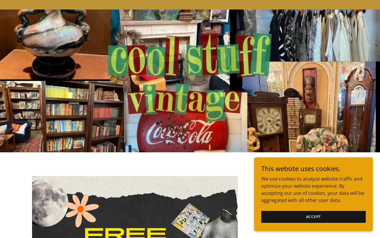 Cool Stuff Vintage website preview