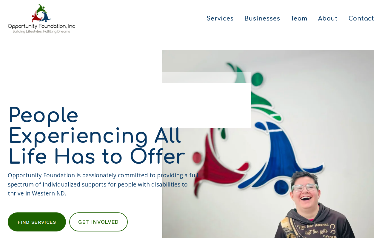 Wise Penny website preview