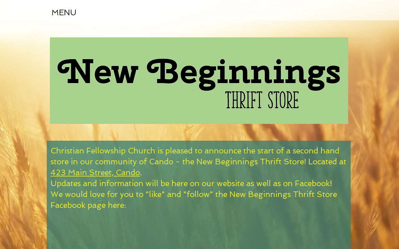 New Beginnings Thrift Store website preview