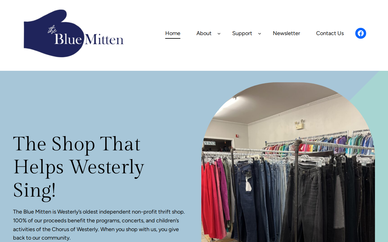 The Blue Mitten Thrift Shop website preview