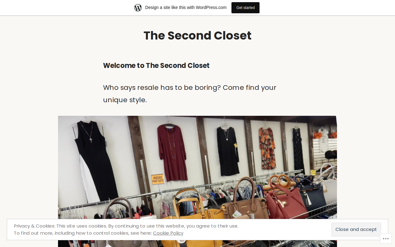 Second Closet The website preview