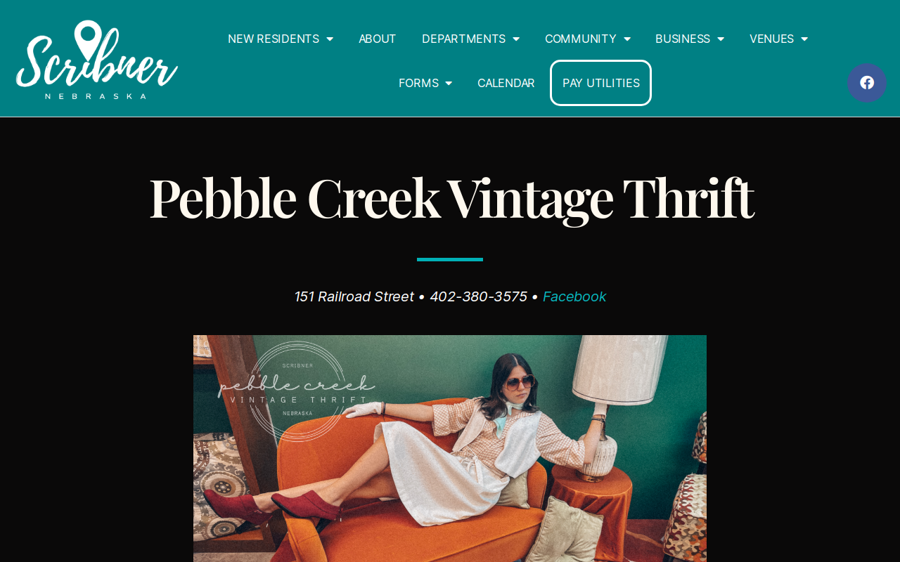 Pebble Creek Vintage Thrift website preview