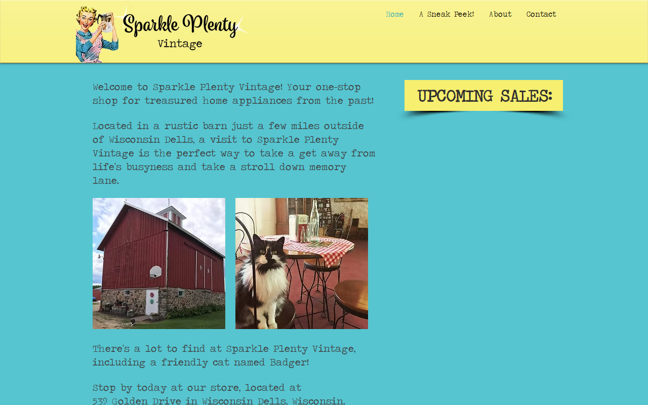 Sparkle Plenty Vintage website preview
