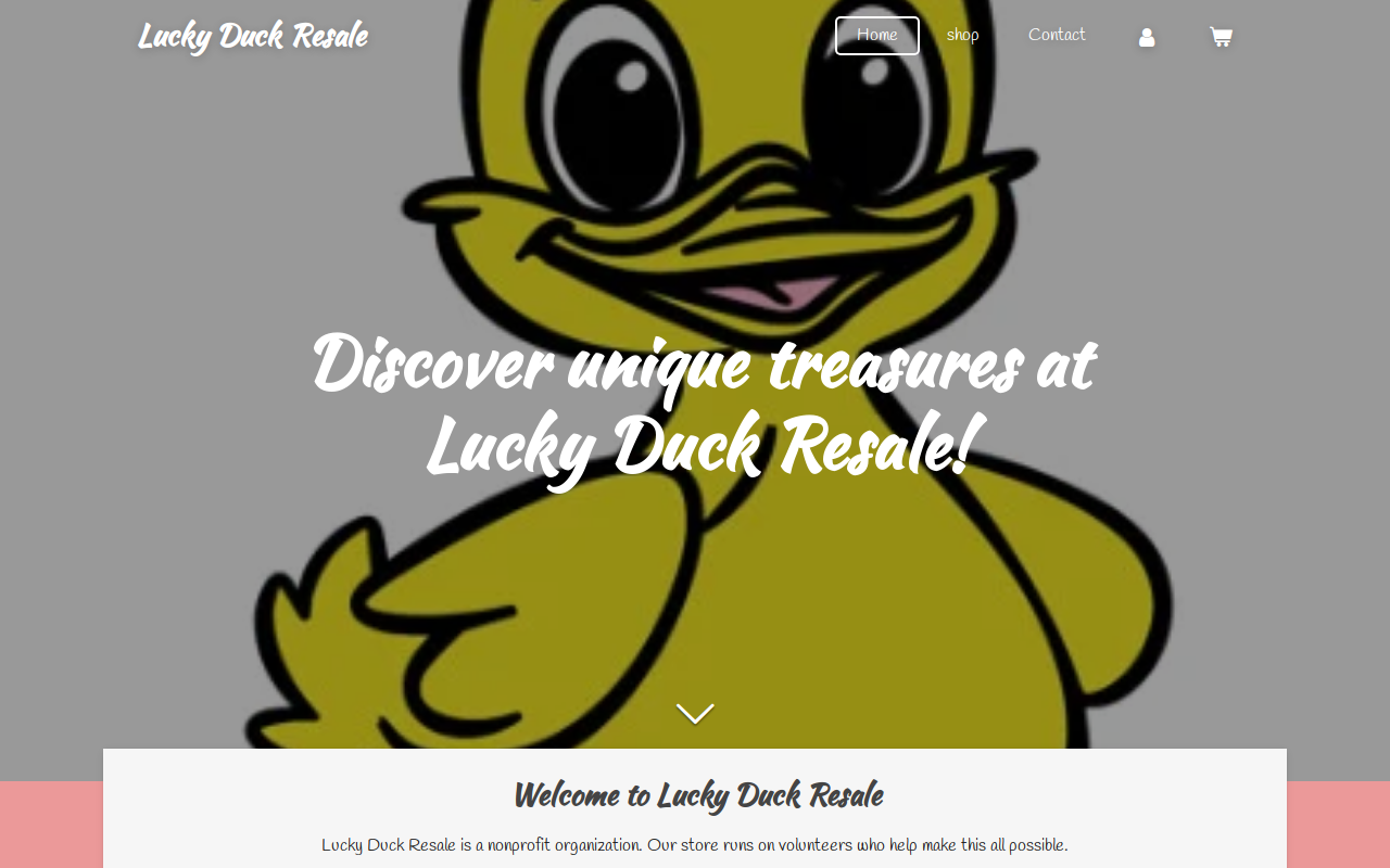 Lucky Duck Resale website preview