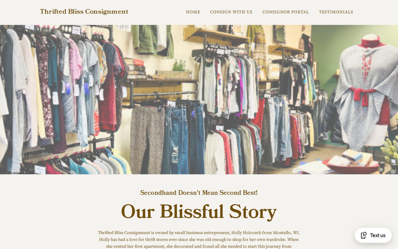 Thrifted Bliss Consignment website preview