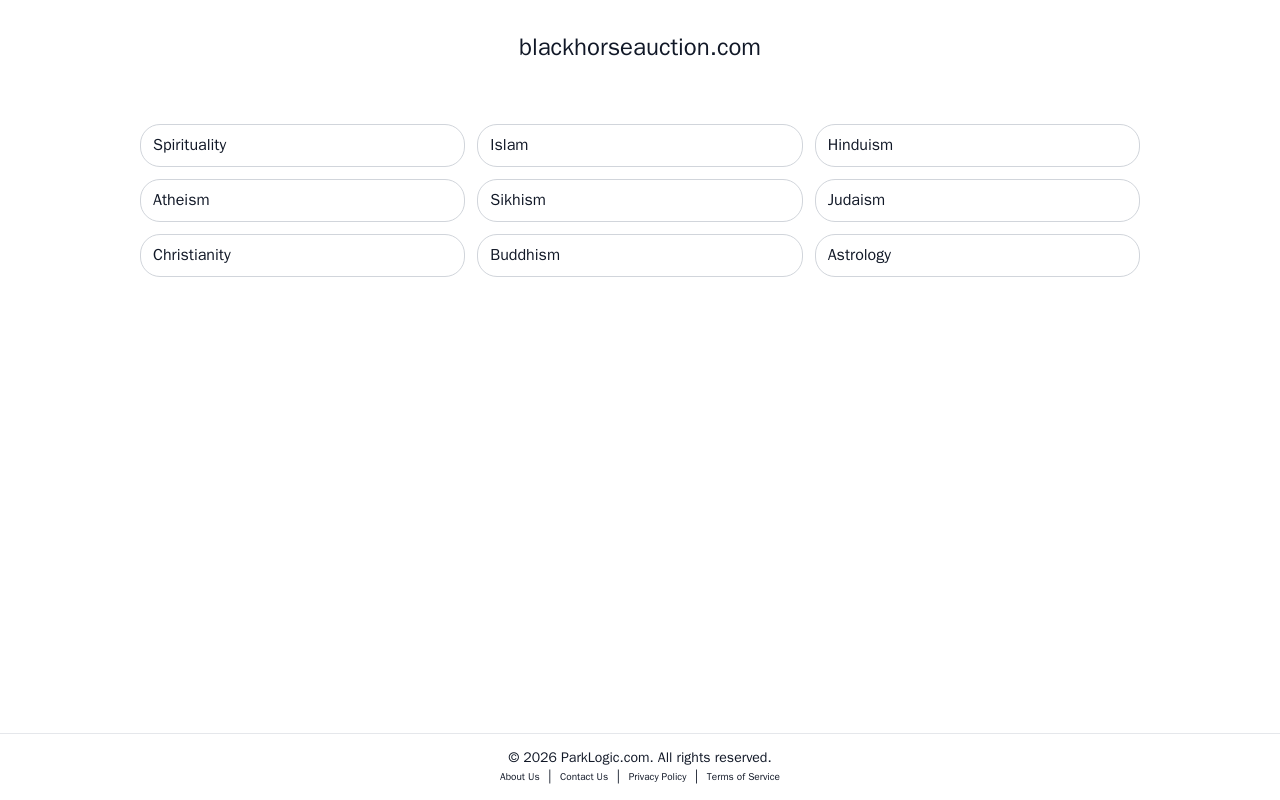 Bha Services website preview