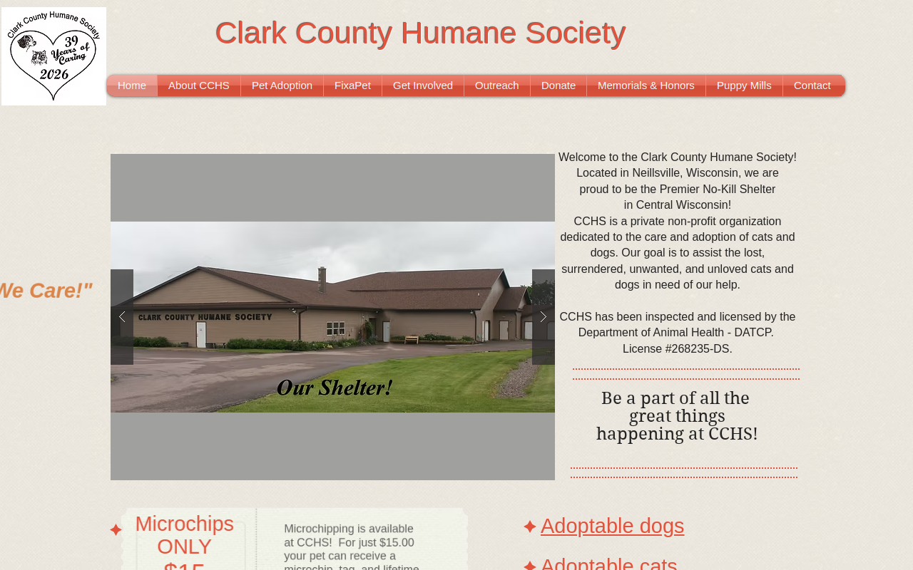 CC Resale website preview