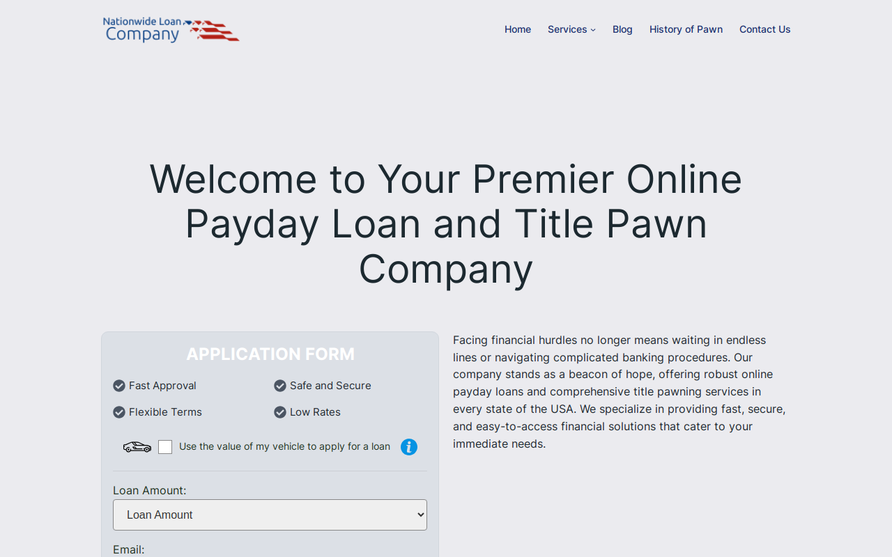 National Pawn Co website preview