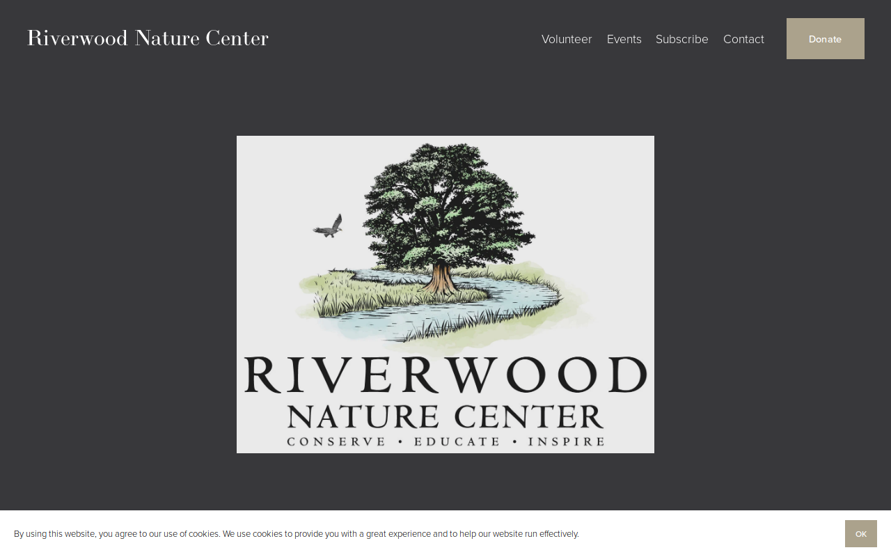 River Revival Thrift & ReUse Store website preview