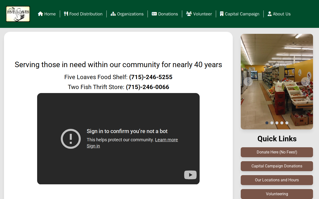 Two Fish Thrift Store website preview