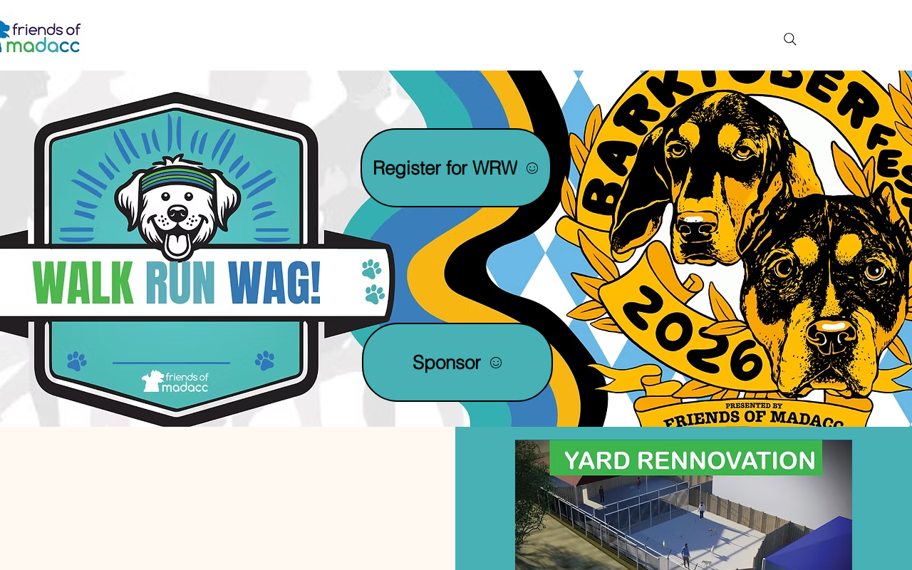 PAWS IN Thrift Boutique website preview