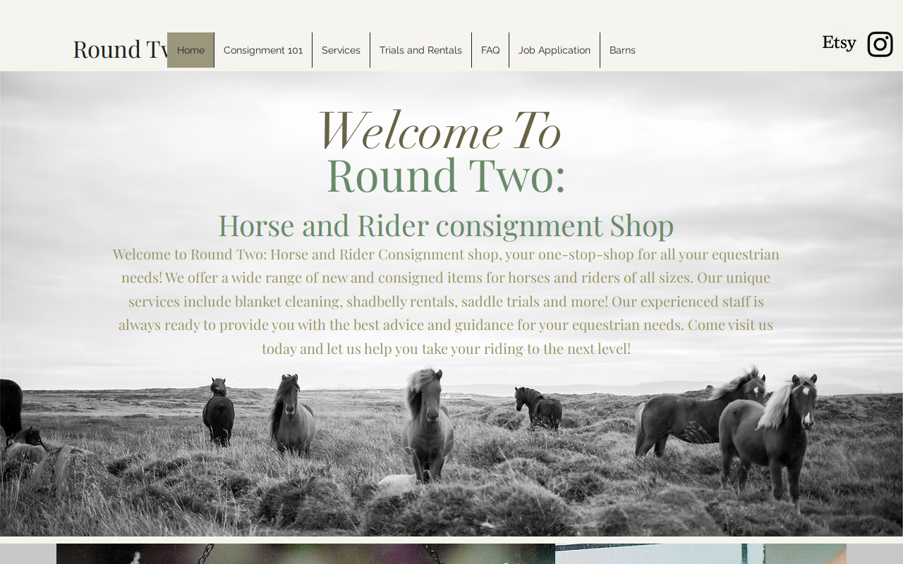 Round Two: Horse & Rider Consignment website preview
