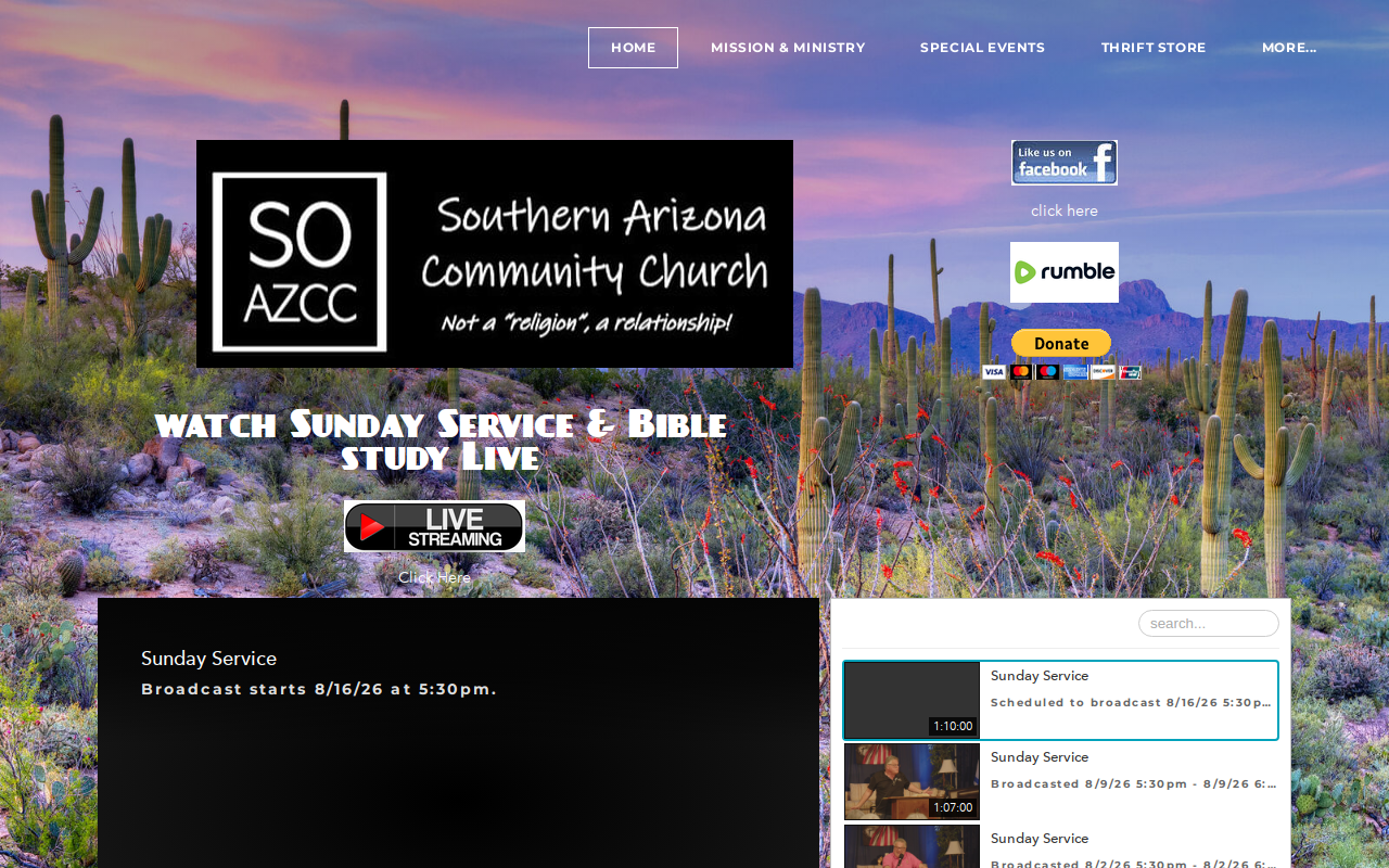 The Thrift Store website preview