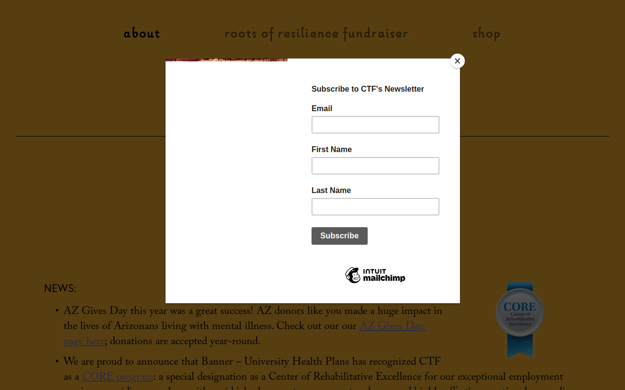 Rethreads Thrift website preview