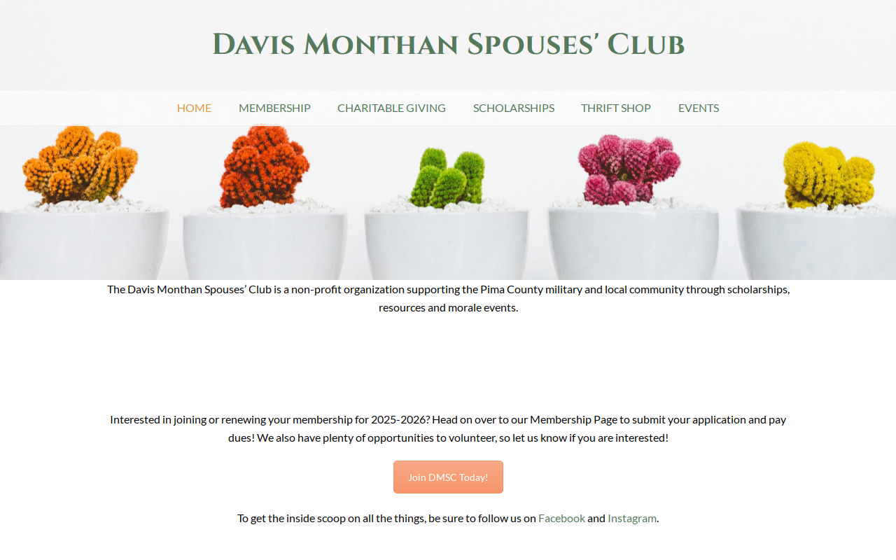 Davis-Monthan Thrift Shop website preview
