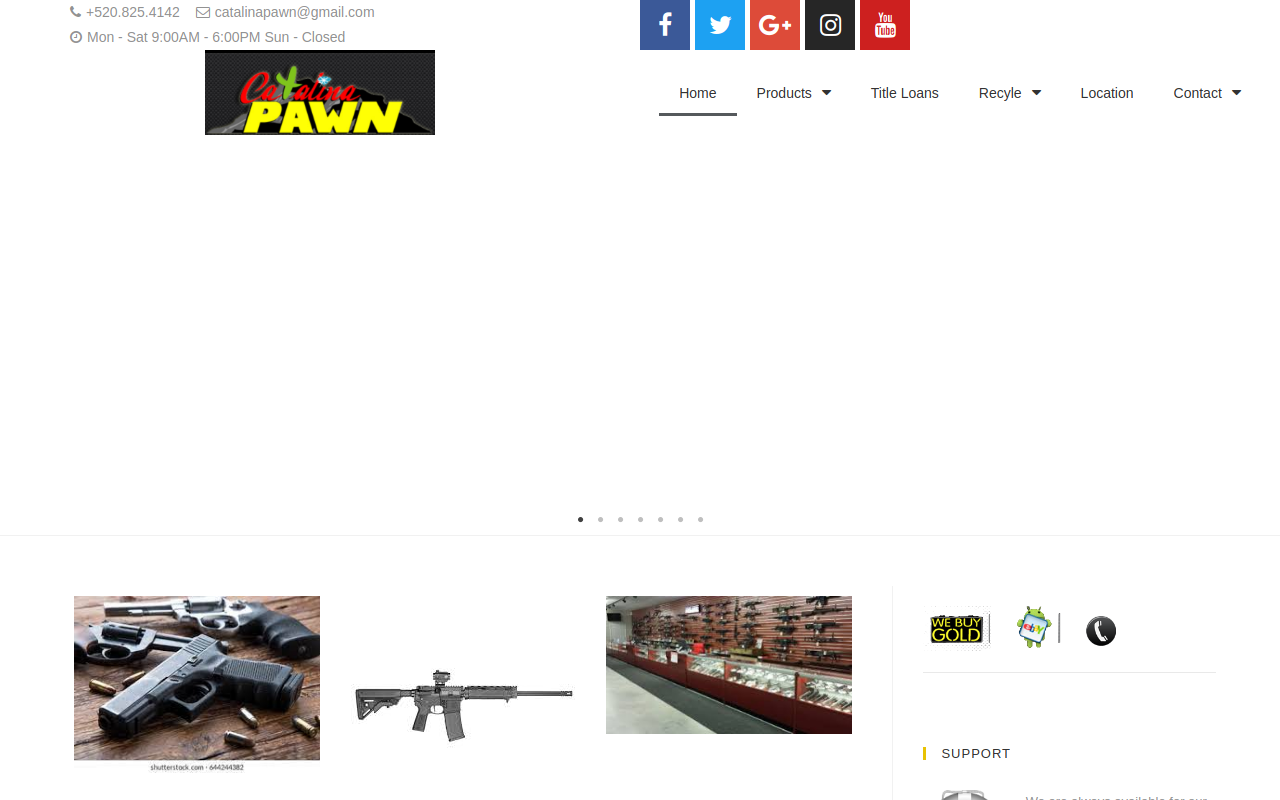 Catalina Pawn website preview