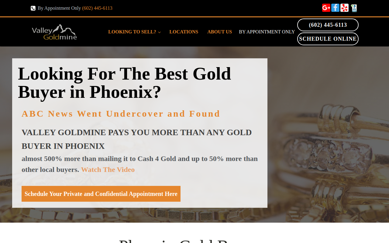 Valley Goldmine website preview