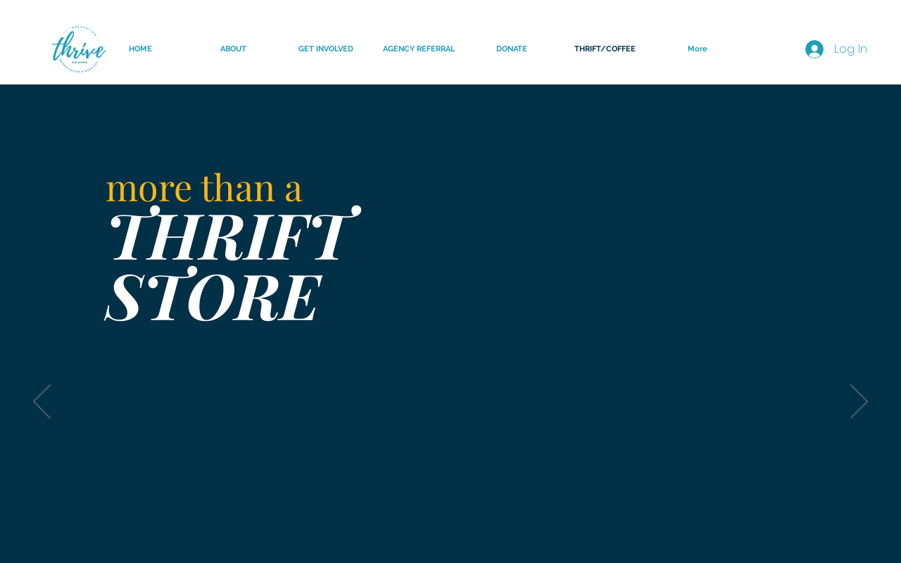 Thrift to Thrive website preview