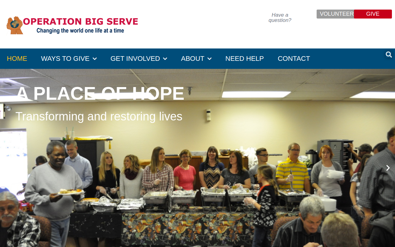 Operation Big Serve website preview